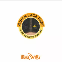 Wigs For Black Women Paulonia | Lace Part Synthetic Wig By It's A Wig