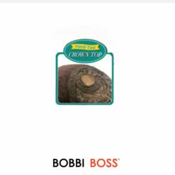 Clara | Synthetic Wig By Bobbi Boss