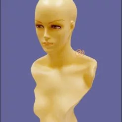 Best Wig Outlet Hair Wig Mannequin MQ108F (USED)