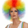 Clown | Costume Wig By Characters Costume Wigs