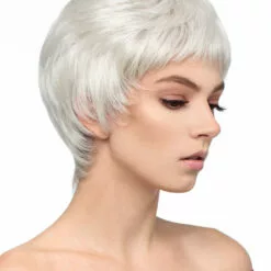 Wigs For Women Anaheim | Lace Front & Monofilament Synthetic Wig By Dream USA