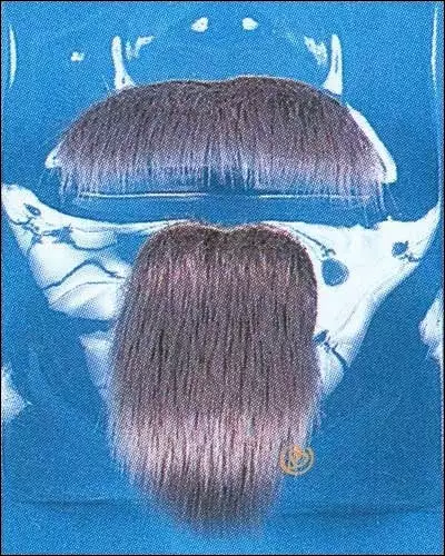 Franco Costume Wigs Charmeur Beard & Moustache By Franco 3 Franco Costume Wigs Charmeur Beard & Moustache By Franco