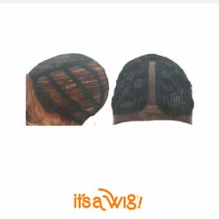 Swiss Lace Delaware | Lace Front & Lace Part Synthetic Wig By It's A Wig Wigs For Black Women