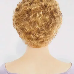 Debbie | Synthetic Wig By Louis Ferre Wigs For Women