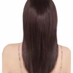 Ashley | Monofilament Synthetic Wig By Louis Ferre