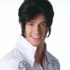 Elvis By New Look Costume Wigs