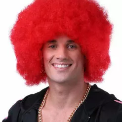 Budget Afro By Sepia Costume Wigs