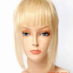 313F | Add-On Human Hair Wiglet By Wig Pro Sales Items 12 313F | Add-On Human Hair Wiglet By Wig Pro Sales Items